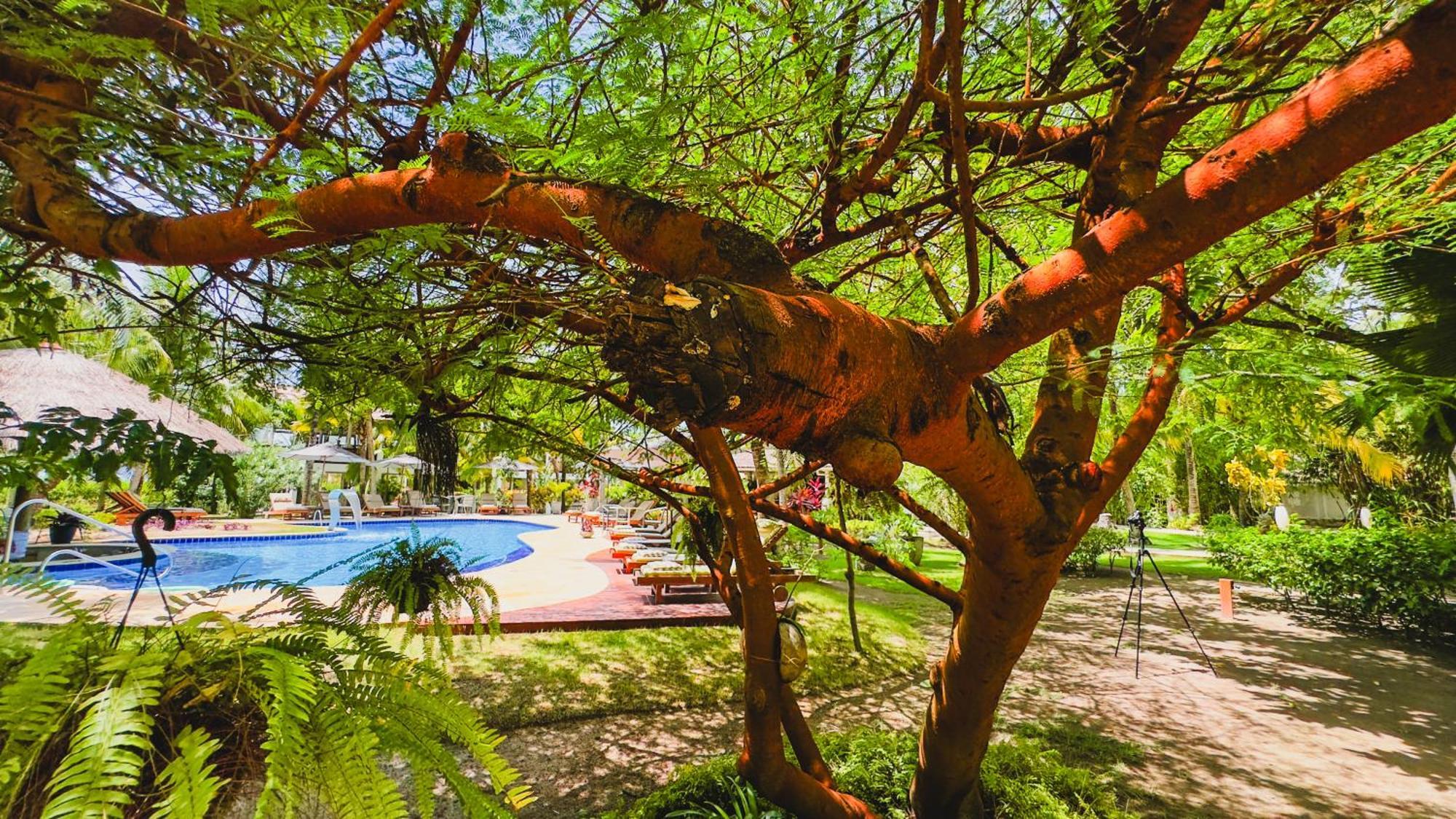 Casa Acayu Ξενοδοχείο São Miguel dos Milagres Εξωτερικό φωτογραφία